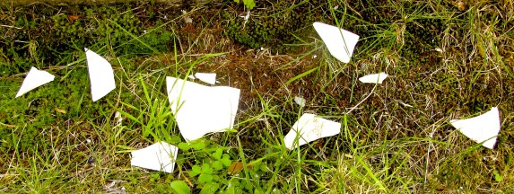 IMG_3062 smashed from step to step horiz crop